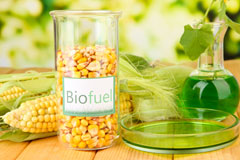 Merrion biofuel availability