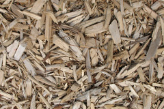 biomass boilers Merrion